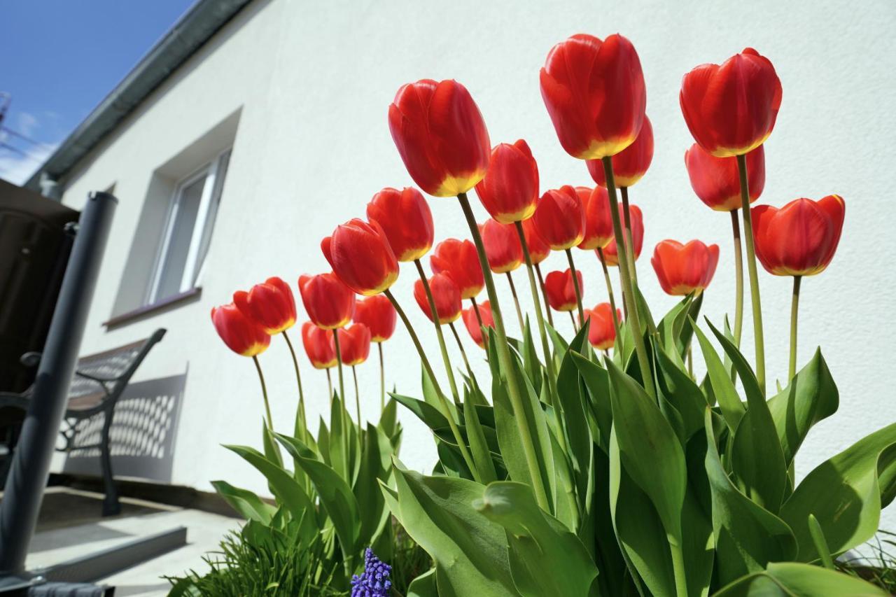Apartamenty Na Szlaku Giżycko Exterior foto