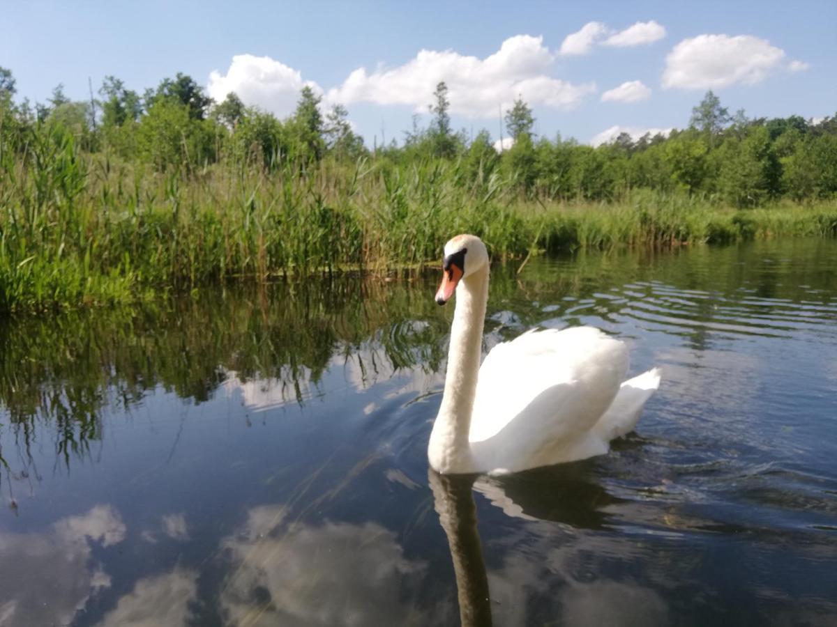Apartamenty Na Szlaku Giżycko Exterior foto